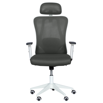 Ергономичен стол Carmen 7588 - графит