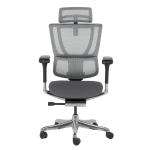 Ергономичен стол ERGOHUMAN IOO ELITE 2 - черна рамка - сив