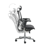 Ергономичен стол ERGOHUMAN IOO ELITE 2 - сива рамка - сив