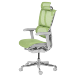 Ергономичен стол ERGOHUMAN IOO ELITE 2 - сива рамка - зелен