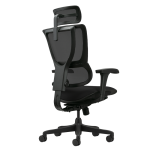 Ергономичен стол ERGOHUMAN IOO BUDGET 2 - черна рамка - черен