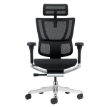 Ергономичен стол ERGOHUMAN ELITE 2 - черна рамка - черен