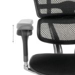 Ергономичен стол ERGOHUMAN ELITE 2 - черна рамка - черен