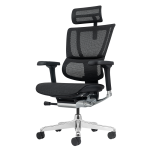 Ергономичен стол ERGOHUMAN ELITE 2 - черна рамка - черен