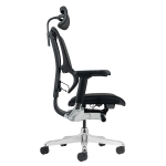 Ергономичен стол ERGOHUMAN ELITE 2 - черна рамка - черен