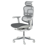 Ергономичен стол ERGOHUMAN ELITE 2 - сива рамка - сив