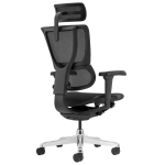 Ергономичен стол ERGOHUMAN IOO ULTRA - черна рамка - черен