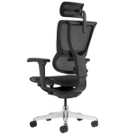 Ергономичен стол ERGOHUMAN IOO ULTRA - черна рамка - черен