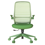 Ергономичен стол ASTARA - зелен