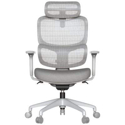 Ергономичен стол ZARDAB - сив