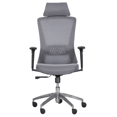 Ергономичен стол Carmen 7542 - сив