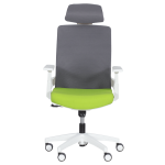 Президентски офис стол Carmen 7546 - зелен-сив