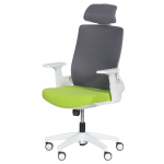 Президентски офис стол Carmen 7546 - зелен-сив