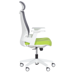 Президентски офис стол Carmen 7546 - зелен-сив